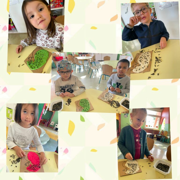 IMG-20251103-WA0000(1)